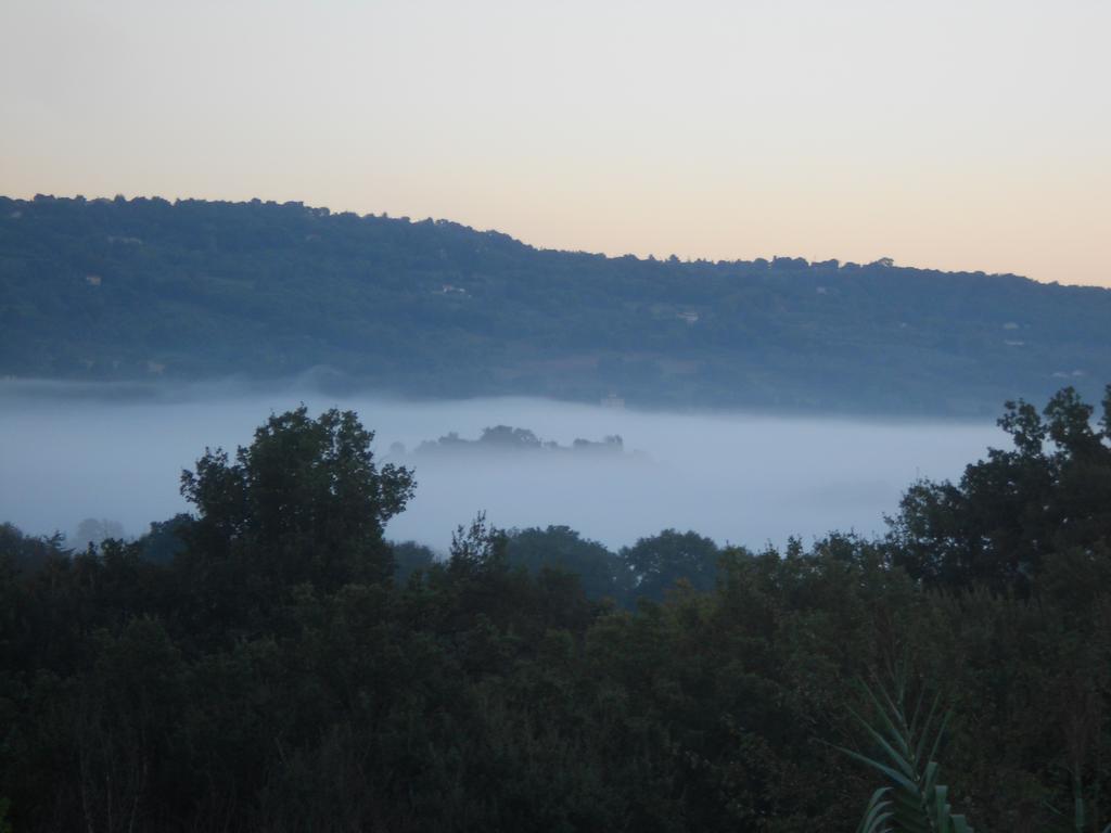 B&B La Quercia Orte Zewnętrze zdjęcie