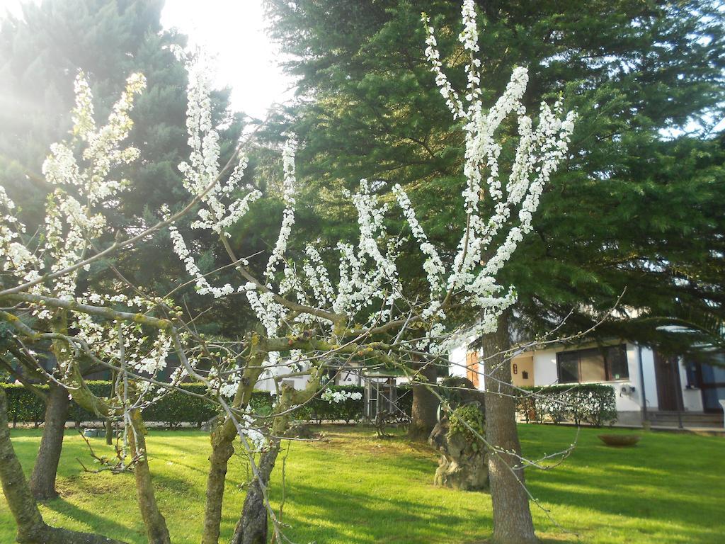 B&B La Quercia Orte Zewnętrze zdjęcie